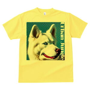 nXL[ TVc  j[NfUCfB[X t@  t vg lJWA 킢 lԗp Mtg I ҏ΍ nXL[