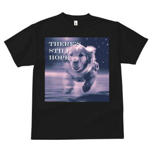 S[fgo[ TVc  j[NfUCfB[X t@  t vg lJWA 킢 lԗp Mtg I ҏ΍ F S[fgo[ F