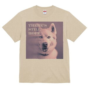 nXL[ TVc  j[NfUCfB[X t@  t vg lJWA 킢 lԗp Mtg I ҏ΍ nXL[