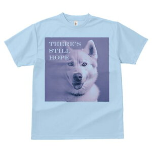 nXL[ TVc  j[NfUCfB[X t@  t vg lJWA 킢 lԗp Mtg I ҏ΍ nXL[