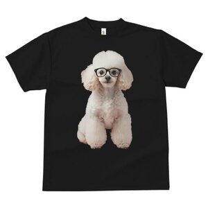 v[h TVc  j[NfUCfB[X t@  t vg lJWA 킢 lԗp Mtg I ҏ΍ Kl v[h mI 킢 