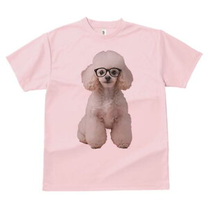 v[h TVc  j[NfUCfB[X t@  t vg lJWA 킢 lԗp Mtg I ҏ΍ Kl v[h mI 킢 