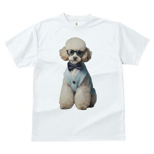 v[h TVc  j[NfUCfB[X t@  t vg lJWA 킢 lԗp Mtg I ҏ΍ Kl v[h lN^C J[fBK