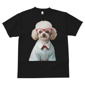 gCv[h TVc  j[NfUCfB[X t@  t vg lJWA 킢 lԗp Mtg I ҏ΍ Kl gCv[h Vc lN^C