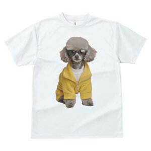 gCv[h TVc  j[NfUCfB[X t@  t vg lJWA 킢 lԗp Mtg I ҏ΍ Z[^[ gCv[h WPbg t@bV