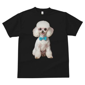 gCv[h TVc  j[NfUCfB[X t@  t vg lJWA 킢 lԗp Mtg I ҏ΍ Kl gCv[h lN^C