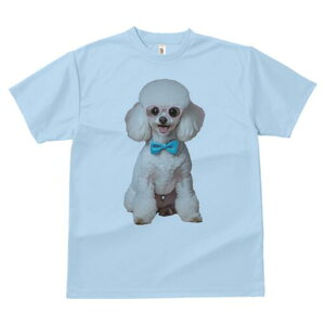 gCv[h TVc  j[NfUCY LbY t@  t vg lJWA 킢 lԗp Mtg I ҏ΍ Kl gCv[h lN^C