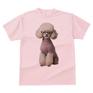 v[h TVc  j[NfUCfB[X t@  t vg lJWA 킢 lԗp Mtg I ҏ΍ Z[^[ v[h Kl