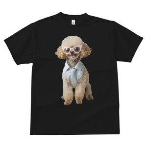 gCv[h TVc  j[NfUCY LbY t@  t vg lJWA 킢 lԗp Mtg I ҏ΍ Kl gCv[h Vc lN^C