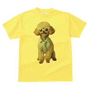 gCv[h TVc  j[NfUCfB[X t@  t vg lJWA 킢 lԗp Mtg I ҏ΍ Kl gCv[h Vc lN^C