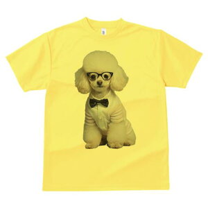 gCv[h TVc  j[NfUCY LbY t@  t vg lJWA 킢 lԗp Mtg I ҏ΍ Kl gCv[h lN^C Vc