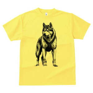 nXL[ TVc  j[NfUCfB[X t@  t vg lJWA 킢 lԗp Mtg I ҏ΍ nXL[