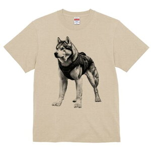 VxAnXL[ TVc  j[NfUCfB[X t@  t vg lJWA 킢 lԗp Mtg I ҏ΍ pn[lX VxAnXL[