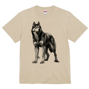 nXL[ TVc  j[NfUCfB[X t@  t vg lJWA 킢 lԗp Mtg I ҏ΍ nXL[