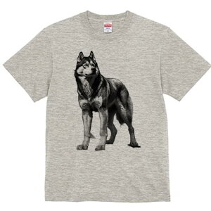 nXL[ TVc  j[NfUCfB[X t@  t vg lJWA 킢 lԗp Mtg I ҏ΍ nXL[