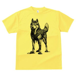 nXL[ TVc  j[NfUCfB[X t@  t vg lJWA 킢 lԗp Mtg I ҏ΍ nXL[