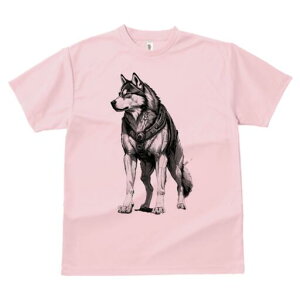 VxAnXL[ TVc  j[NfUCfB[X t@  t vg lJWA 킢 lԗp Mtg I ҏ΍ n[lX VxAnXL[