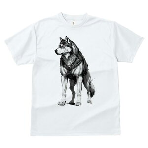 VxAnXL[ TVc  j[NfUCfB[X t@  t vg lJWA 킢 lԗp Mtg I ҏ΍ n[lX VxAnXL[