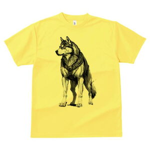 VxAnXL[ TVc  j[NfUCfB[X t@  t vg lJWA 킢 lԗp Mtg I ҏ΍ n[lX VxAnXL[