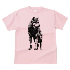 nXL[ TVc  j[NfUCfB[X t@  t vg lJWA 킢 lԗp Mtg I ҏ΍ nXL[