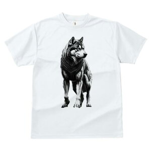 nXL[ TVc  j[NfUCfB[X t@  t vg lJWA 킢 lԗp Mtg I ҏ΍ nXL[