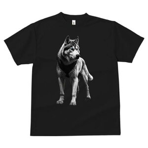 nXL[ TVc  j[NfUCfB[X t@  t vg lJWA 킢 lԗp Mtg I ҏ΍ nXL[