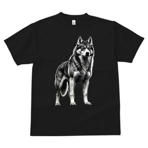 nXL[ TVc  j[NfUCfB[X t@  t vg lJWA 킢 lԗp Mtg I ҏ΍ nXL[