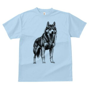 nXL[ TVc  j[NfUCfB[X t@  t vg lJWA 킢 lԗp Mtg I ҏ΍ nXL[