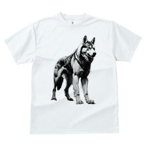 nXL[ TVc  j[NfUCfB[X t@  t vg lJWA 킢 lԗp Mtg I ҏ΍ Ȃ nXL[