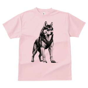 nXL[ TVc  j[NfUCfB[X t@  t vg lJWA 킢 lԗp Mtg I ҏ΍ nXL[