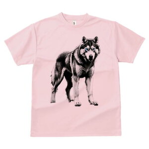 nXL[ TVc  j[NfUCfB[X t@  t vg lJWA 킢 lԗp Mtg I ҏ΍ nXL[