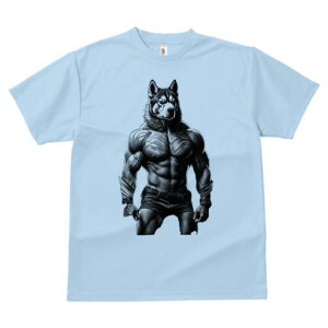 nXL[ TVc  j[NfUCfB[X t@  t vg lJWA 킢 lԗp Mtg I ҏ΍ ؓ nXL[ }b` ̔ W[Y