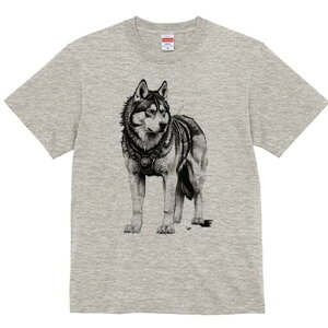 VxAnXL[ TVc  j[NfUCfB[X t@  t vg lJWA 킢 lԗp Mtg I ҏ΍ n[lX VxAnXL[