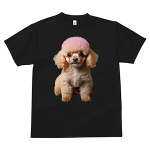 gCv[h TVc  j[NfUCfB[X t@  t vg lJWA 킢 lԗp Mtg I ҏ΍ sN gCv[h 킢  L