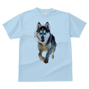 VxAnXL[ TVc  j[NfUCfB[X t@  t vg lJWA 킢 lԗp Mtg I ҏ΍ VxAnXL[