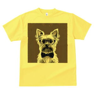 [NV[eA TVc  j[NfUCfB[X t@  t vg lJWA 킢 lԗp Mtg I ҏ΍ Kl [NV[eA lN^