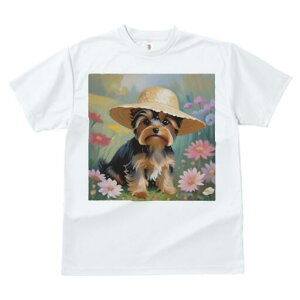 [NV[eA TVc  j[NfUCfB[X t@  t vg lJWA 킢 lԗp Mtg I ҏ΍ Xq [NV[eA 