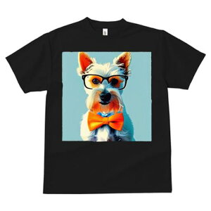 EGXgnChzCgeA TVc  j[NfUCfB[X t@  t vg lJWA 킢 lԗp Mtg I ҏ΍ Kl EGXgnC