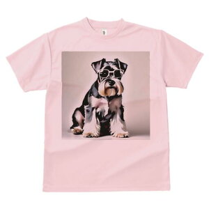 ~j`AViEU[ TVc  j[NfUCfB[X t@  t vg lJWA 킢 lԗp Mtg I ҏ΍ Kl ~j`AViEU[