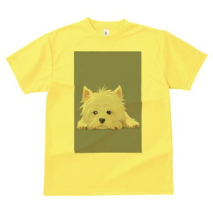 EGXgnChzCgeA TVc  j[NfUCY LbY t@  t vg lJWA 킢 lԗp Mtg I ҏ΍ EGXgnCh