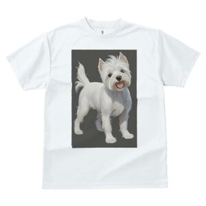 EGXgnChzCgeA TVc  j[NfUCfB[X t@  t vg lJWA 킢 lԗp Mtg I ҏ΍ EGXgnChz