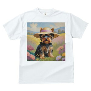 [NV[eA TVc  j[NfUCfB[X t@  t vg lJWA 킢 lԗp Mtg I ҏ΍ Xq [NV[eA   i