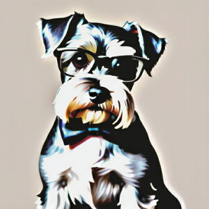 Kl ~j`AViEU[ lN^C NbVJo[ 45×45cm Aj}   NbV{̕t `