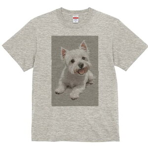 EGXgnChzCgeA TVc  j[NfUCfB[X t@  t vg lJWA 킢 lԗp Mtg I ҏ΍ EGXgnChz