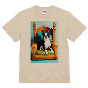 {XgeA TVc  j[NfUCfB[X t@  t vg lJWA 킢 lԗp Mtg I ҏ΍ ֎q {XgeA NbV