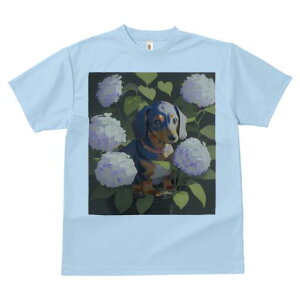 _bNXth TVc  j[NfUCfB[X t@  t vg lJWA 킢 lԗp Mtg I ҏ΍ AWTC _bNXth  A