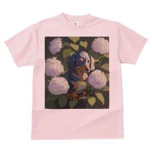 _bNXth TVc  j[NfUCfB[X t@  t vg lJWA 킢 lԗp Mtg I ҏ΍ AWTC _bNXth  A