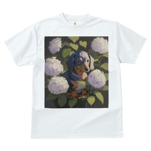 _bNXth TVc  j[NfUCY LbY t@  t vg lJWA 킢 lԗp Mtg I ҏ΍ AWTC _bNXth  A