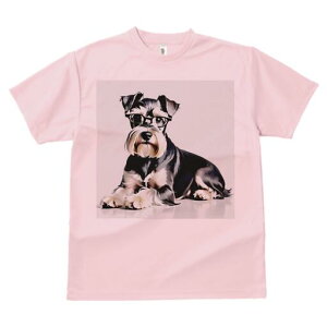 ~j`AViEU[ TVc  j[NfUCfB[X t@  t vg lJWA 킢 lԗp Mtg I ҏ΍ Kl ~j`AViEU[