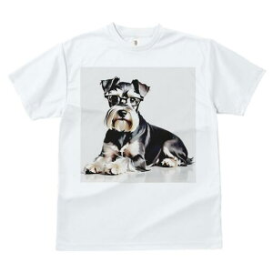 ~j`AViEU[ TVc  j[NfUCfB[X t@  t vg lJWA 킢 lԗp Mtg I ҏ΍ Kl ~j`AViEU[